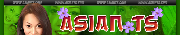 AsianTS.com is the biggest and best Asian ladyboy website on the internet....